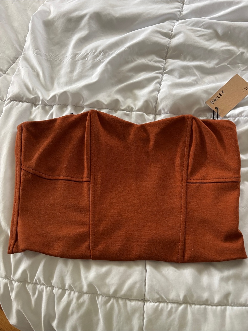 Bailey 44 Rust Strapless Crop Top